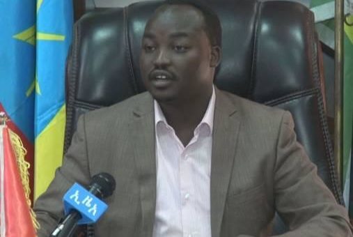 Civilian killings in Benshangul-Gumuz prompted military counter-attack