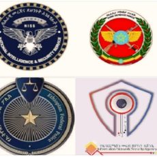 Assets of members of the terrorist TPLF freeze